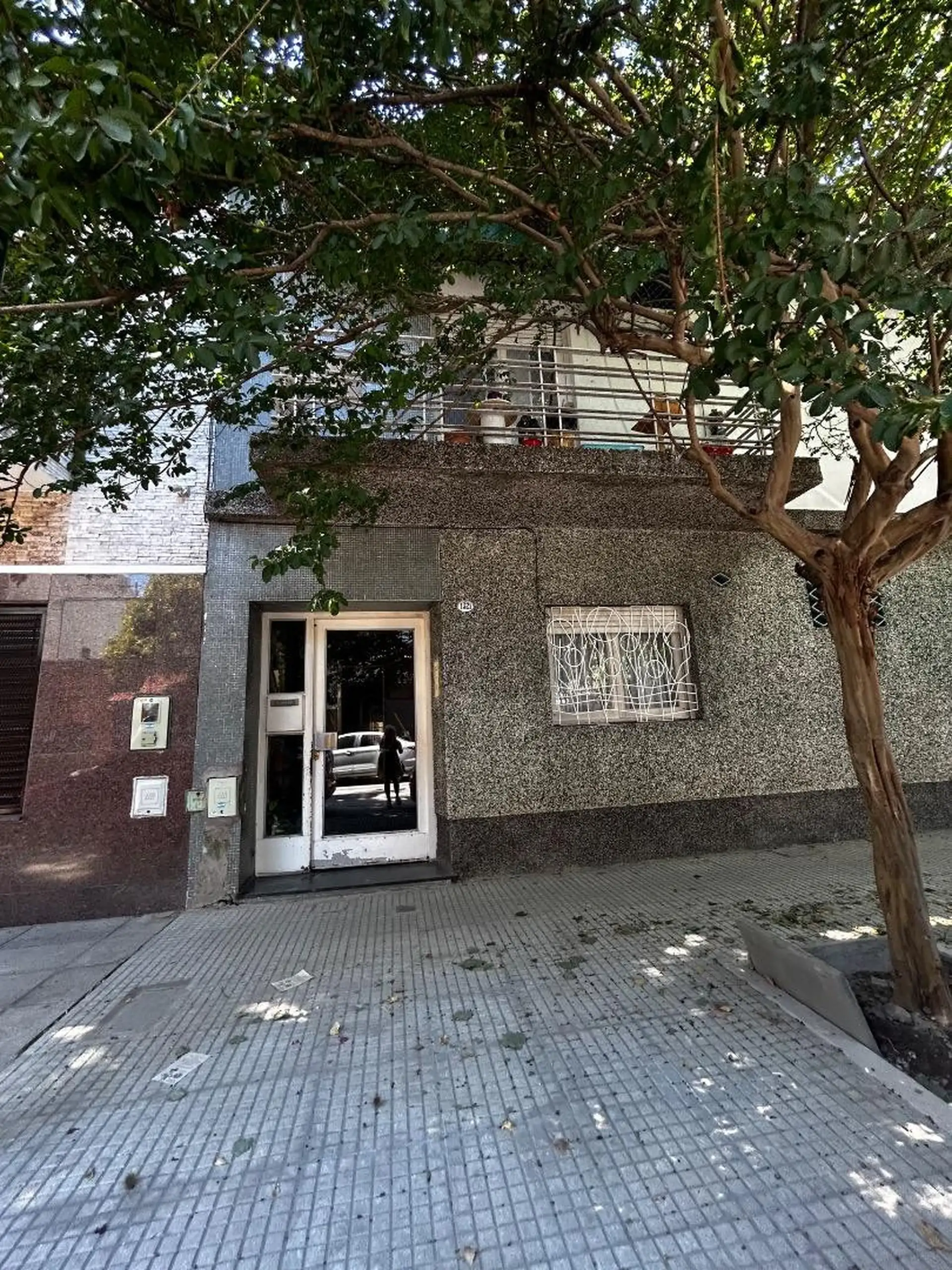 2 ambientes floresta